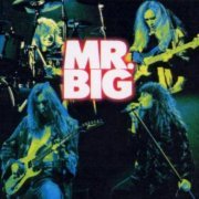 Mr. Big - Discography (1989-2015)