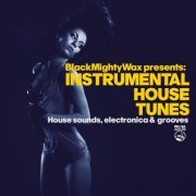 VA - Black Mighty Wax presents Instrumental House Tunes (House sounds, electronica & grooves) (2024)