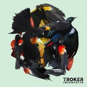 Troker - Imperfecto (2018) [CD Rip]