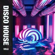 VA - Disco House, Vol. 6 (2024)