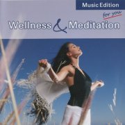 Arnd Stein - Wellness & Meditation (2006)