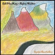 Bill MacKay & Ryley Walker - SpiderBeetleBee (2017)