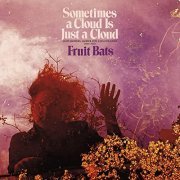 Fruit Bats - Sometimes a Cloud Is Just a Cloud: Slow Growers, Sleeper Hits and Lost Songs (2001–2021) (2022) Hi Res