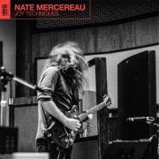 Nate Mercereau - Joy Techniques (2019) 320kbps