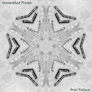 Ariel Kalma - Unearthed Flutes (2021) [Hi-Res]