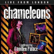 The Chameleons - Live From London (2024)