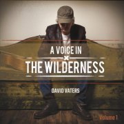 David Vaters - A Voice in the Wilderness, Vol. 1 (2017)