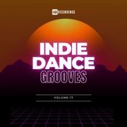 VA - Indie Dance Grooves, Vol. 17 (2024)