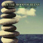 VA - In the Mood of Relax (A Journey into Lo-Fi and Ambient Beats) (2022)