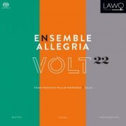 Ensemble Allegria - Volt22 (2015)