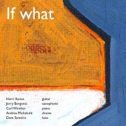 Harri Ihanus - If What (2023)
