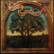 Steeleye Span - Now We Are Six (50th Anniversary Edition) (2024) [Hi-Res]