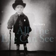 Joe Henry - All the Eye Can See (2023) [Hi-Res]