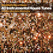 Various Artists and Black Mighty Wax - 40 Instrumental House Tunes (In a Disco Jazzy DeepTech Feeling) (2023)