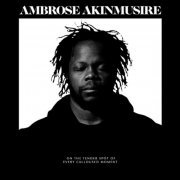 Ambrose Akinmusire - On The Tender Spot Of Every Calloused Moment (2020) [Hi-Res]