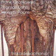 Frank Gratkowski, Thomas Lehn, Melvyn Poore - Triskaidekaphonia (2006)