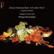Collegium Vocale Gent, Philippe Herreweghe - Johann Sebastian Bach: Ach süßer Trost! (2012) [Hi-Res]