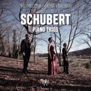 Franco Mezzena, Sergio Patria, Elena Ballario - Schubert: Piano Trios (2020) [Hi-Res]