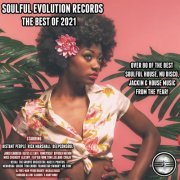 VA - Soulful Evolution Records The Best Of 2021