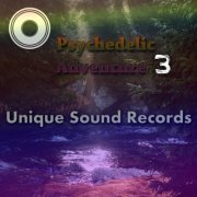 Various Artists - Psychedelic Adventure 3 (2017) FLAC