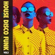 VA - House Disco Funk Vol 3 (2024)