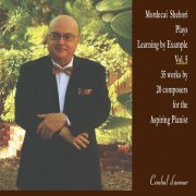 Mordecai Shehori - Learning by Example, Vol. 5 (2020)