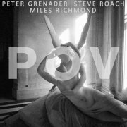 Peter Grenader, Steve Roach, Miles Richmond - POV2 (2020) [Hi-Res]