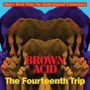 VA - Brown Acid: The Fourteenth Trip (Heavy Rock From The Underground Comedown) (2022)