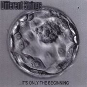 Different Strings -  ...It's Only The Beginning (2006)