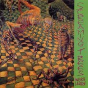 Screaming Trees - Invisible Lantern (1988)