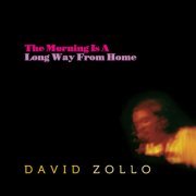 David Zollo - The Morning Is a Long Way from Home (2014)