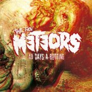 The Meteors - 40 Days a Rotting (2024) Hi Res