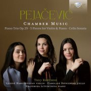 Ekaterina Litvintseva, Lusiné Harutyunyan, Caroline Sypniewski, Trio RoVerde - Pejačević: Chamber Music (2024) [Hi-Res]