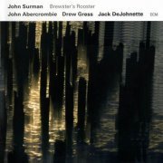 John Surman - Brewster's Rooster (2009) CD Rip