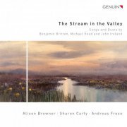 Alison Browner, Sharon Carty & Andreas Fres - The Stream in the Valley (2014) [Hi-Res]