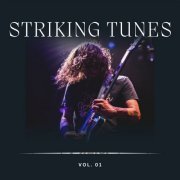 VA - Striking Tunes Vol 1 (2023)