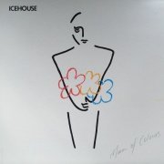 Icehouse - Man Of Colours (1987) [Vinyl]
