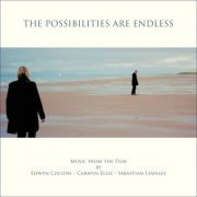 Carwyn Ellis, Sebastian Lewsley & Edwyn Collins - The Possibilities Are Endless (2014)