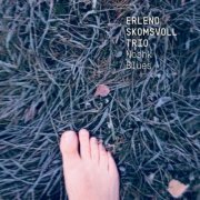 Erlend Skomsvoll Trio - Noshk Blues (2024) [Hi-Res]