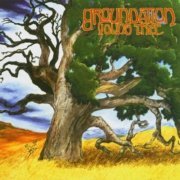 Groundation - Young Tree (1999)