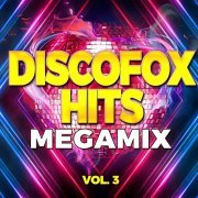 VA - Discofox Hits Megamix, Vol. 3 (2021)