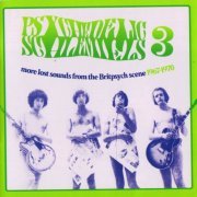 VA - Psychedelic Schlemiels Vol. 3: More Lost Sounds From The Britpsych Scene 1967-1970 (2009)