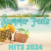 VA - Summer Feels - Hits 2024 (2024)