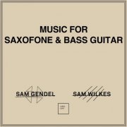 Sam Gendel & Sam Wilkes - Music for Saxofone & Bass Guitar (2018)