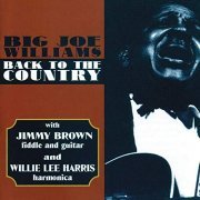 Big Joe Williams - Back To The Country (1964/2020)
