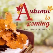 VA - Autumn is Coming: Soft Music Moments (2019)