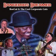 Boe Cat, Cool Corporate Cats - Dangerous Dreamer (2013)
