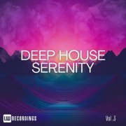 VA - Deep House Serenity, Vol. 03 (2024) FLAC
