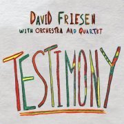 David Friesen - Testimony (2020)