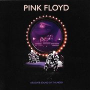 Pink Floyd - Delicate Sound Of Thunder (2020) CD-Rip